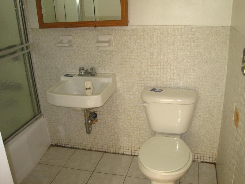 simple indian bathroom ideas
