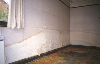 Wall Dampness