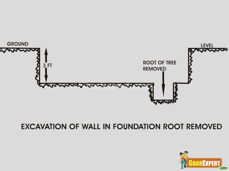 Foundation of building- remove roots from soil