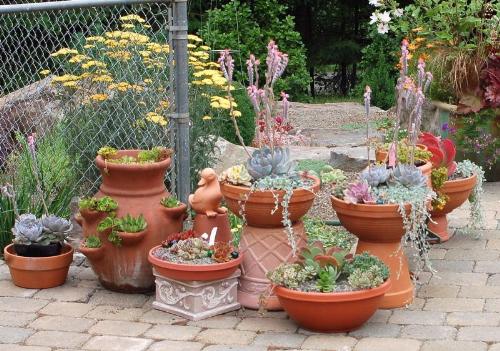 Plant containers in small space garden